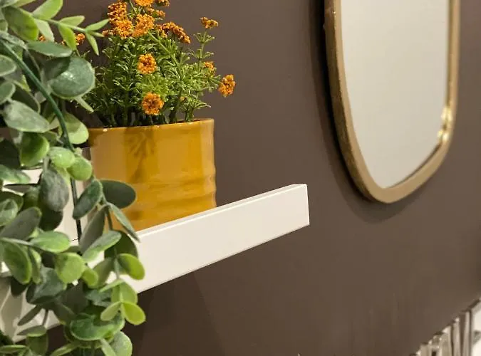 Via Piave 82 4* 科森扎